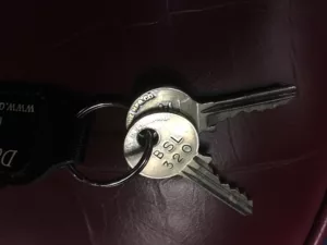 1955 Bentley S1 - Grey - 321